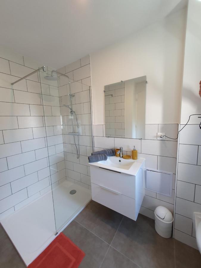 נאנסי Appart'Hotel, Ikimo 5 Appartements Entiers A Votre Disposition Au Choix מראה חיצוני תמונה