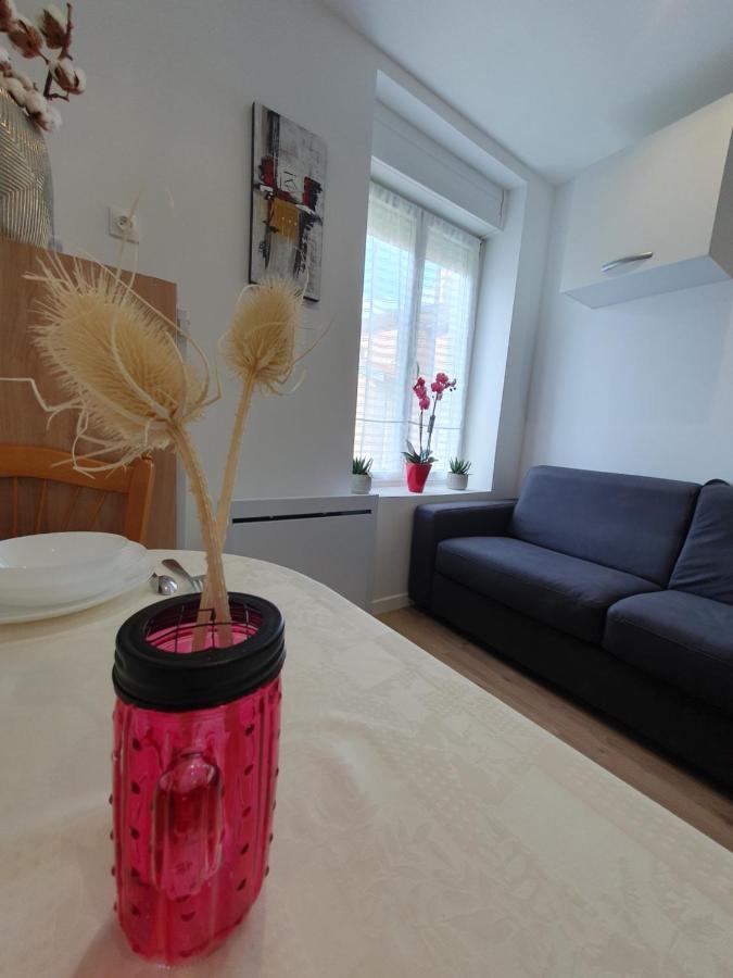 נאנסי Appart'Hotel, Ikimo 5 Appartements Entiers A Votre Disposition Au Choix מראה חיצוני תמונה