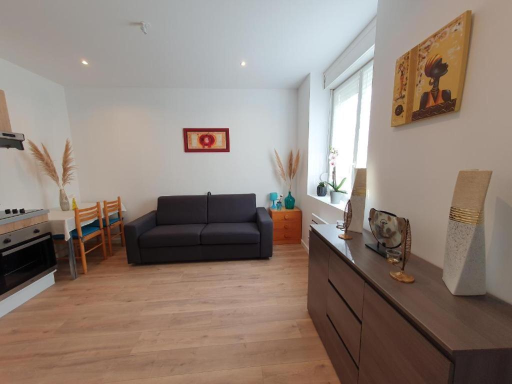 נאנסי Appart'Hotel, Ikimo 5 Appartements Entiers A Votre Disposition Au Choix מראה חיצוני תמונה