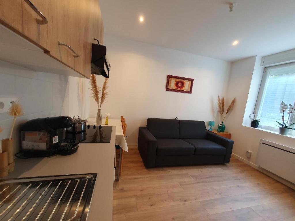 נאנסי Appart'Hotel, Ikimo 5 Appartements Entiers A Votre Disposition Au Choix מראה חיצוני תמונה