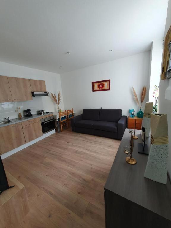 נאנסי Appart'Hotel, Ikimo 5 Appartements Entiers A Votre Disposition Au Choix מראה חיצוני תמונה