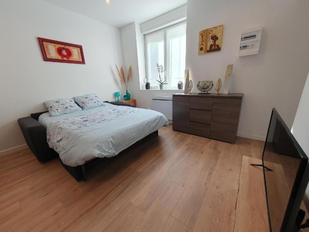 נאנסי Appart'Hotel, Ikimo 5 Appartements Entiers A Votre Disposition Au Choix מראה חיצוני תמונה