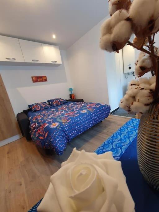נאנסי Appart'Hotel, Ikimo 5 Appartements Entiers A Votre Disposition Au Choix מראה חיצוני תמונה