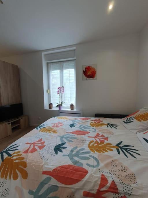 נאנסי Appart'Hotel, Ikimo 5 Appartements Entiers A Votre Disposition Au Choix מראה חיצוני תמונה